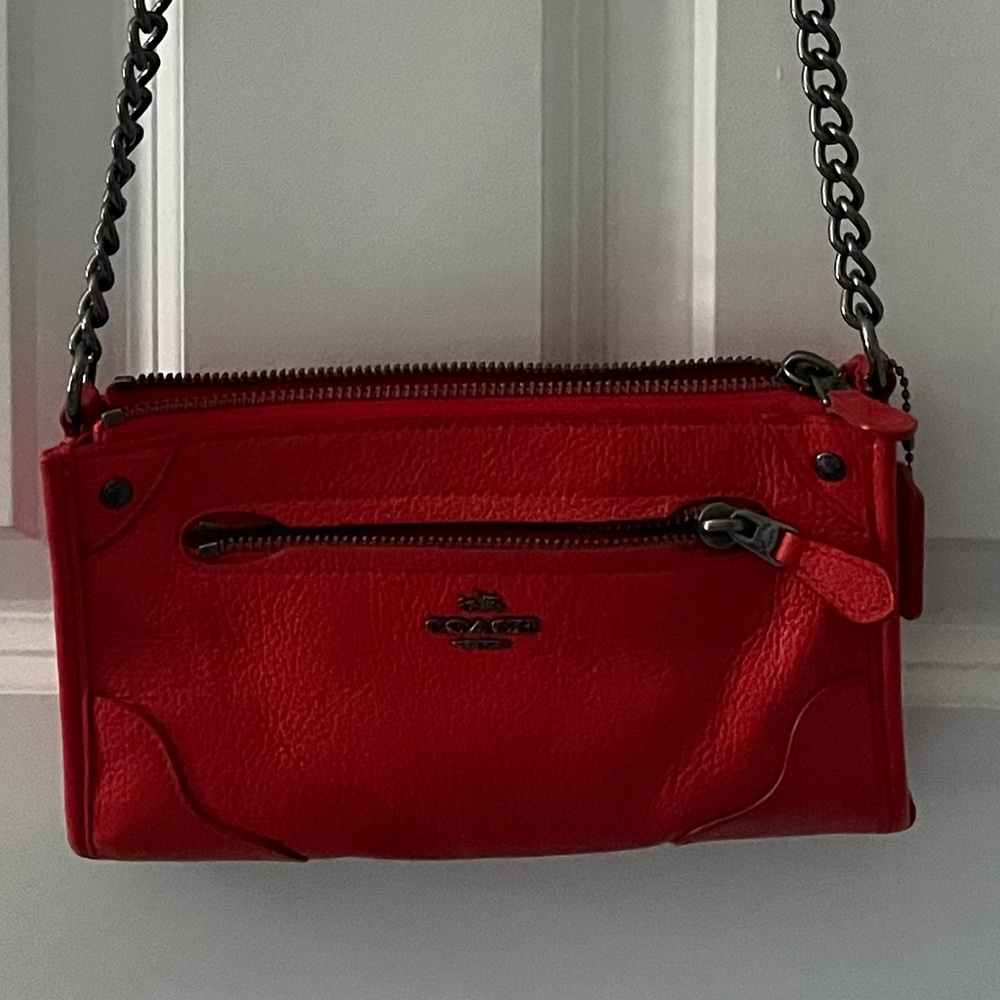 Small Coach bag.
